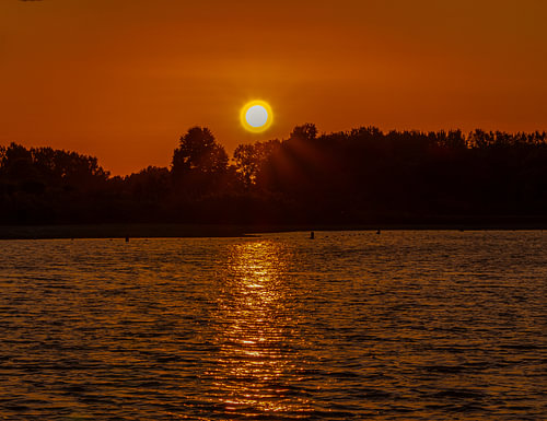 Gouden avond aan de Rietplas