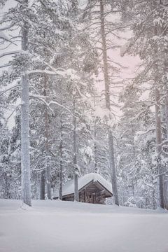 Forest hut in the snow by Anouschka Hendriks