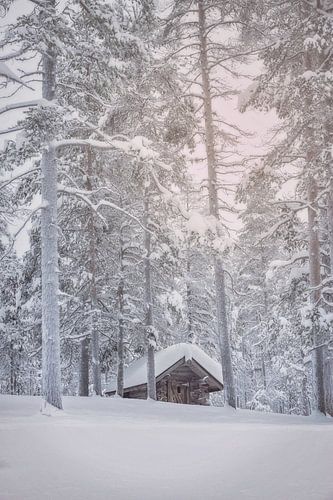 Forest hut in the snow