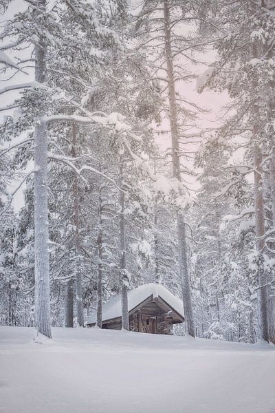 Cabane dans la neige par Anouschka Hendriks