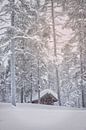 Cabane dans la neige par Anouschka Hendriks Aperçu