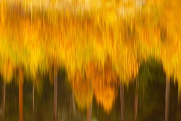 Abstract herfst kleuren van Ronald Moolenaar