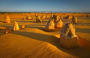 Lever de soleil dans le désert des Pinnacles