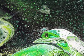 Le Python galactique sur Joke Gorter