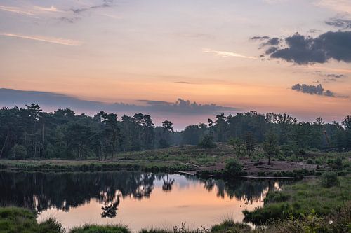 Hatertse and Overasseltse vennen part 5