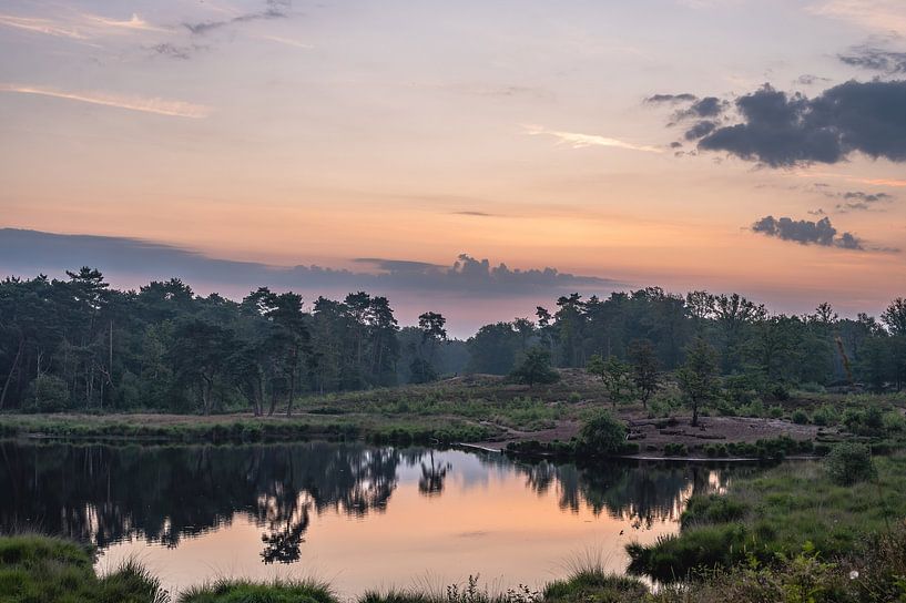 Hatertse and Overasseltse vennen part 5 by Tania Perneel
