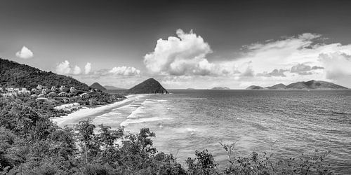 Caribisch zwart-wit