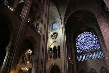 Dans la Notre Dame de Paris