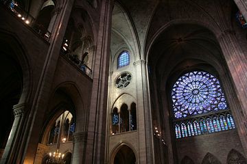 Dans la Notre Dame de Paris van Gerard Bos