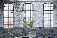 La lumière sur les temps passés