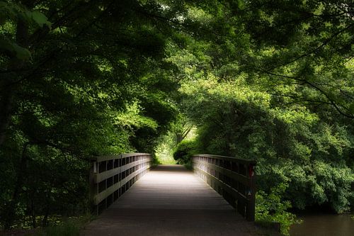 Pont en bois dans la forêt.