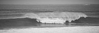 Reversing wave in black and white