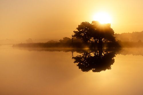 Strabrechtse Heide 145