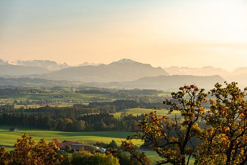 Sfeer bij zonsondergang met uitzicht op de Allgäuer Alpen en de bergketen Grünten