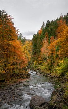 Herfstkleuren langs de rivier in Bayern