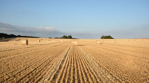 Veld met strobalen bij Nadelitz
