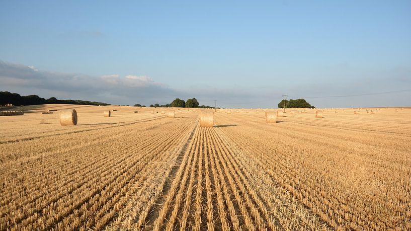 Feld mit Strohballen bei Nadelitz von GH Foto & Artdesign