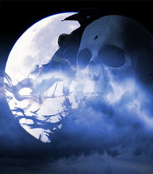Skull Raven at Moonlight van Nicky`s Prints