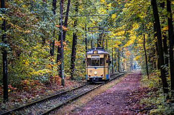 Straßenbahn im Herbstwald