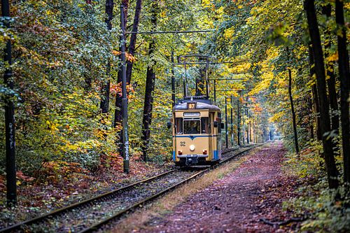 Tramway dans la forêt d'automne