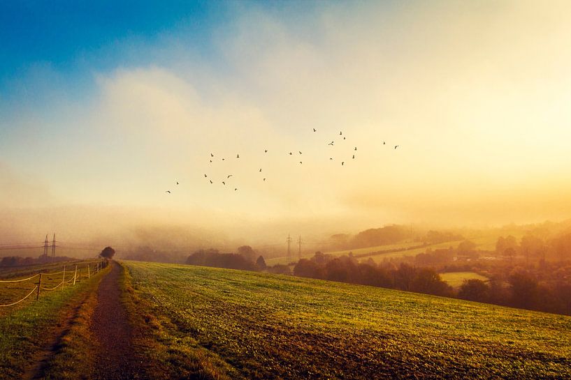 Fields in morning light by Dirk Wüstenhagen