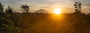 Zonsopkomst panorama met Vulkaan Gunung Agung vanuit Ubud van Ellis Peeters