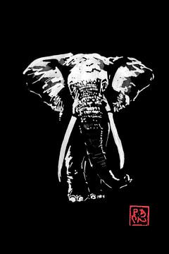 olifant in het donker van Péchane Sumie