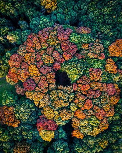 Autumn from above
