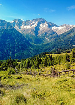 Mountain Ridge Overlooking a Forest and Snow Capped Peaks in the Italian Alps