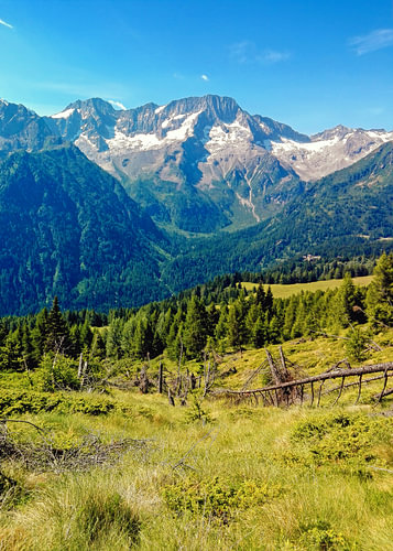 Crête de montagne surplombant une forêt et des sommets enneigés dans les Alpes italiennes