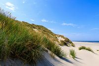Rangée de dunes Plage de la mer du Nord Terschelling