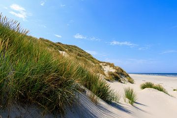 Dünenreihe Nordseestrand Terschelling von Dan Photo Shaman