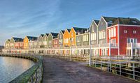 Kleurrijke huizen aan de Rietplas in Houten von PvdH Fotografie Miniaturansicht