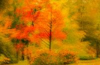 Pointillismus