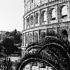 Colosseum Rome in zwart-wit van Suzanne Spijkers