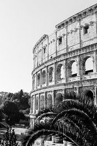 Colisée de Rome en noir et blanc