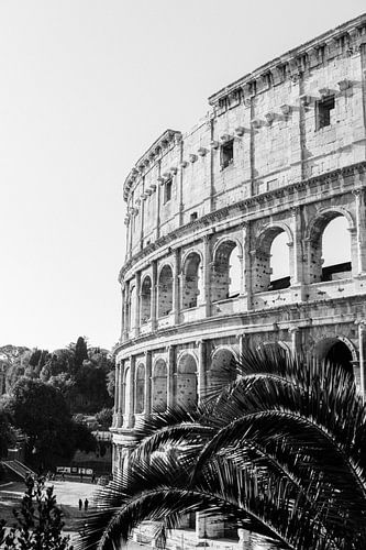 Colosseum Rome in black and white