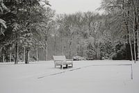 Sneeuwbankje