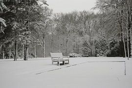 Sneeuwbankje sur Miranda Zwijgers
