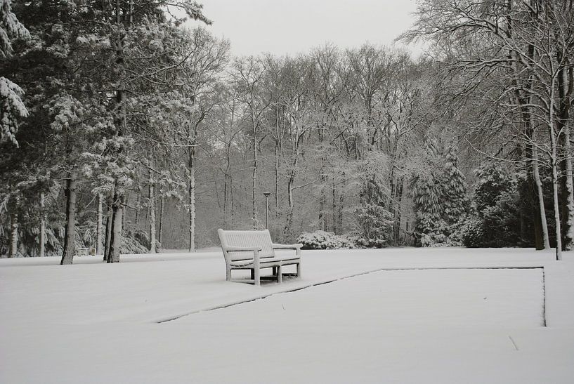 Sneeuwbankje par Miranda Zwijgers