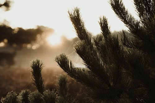 Le début d'un nouveau jour