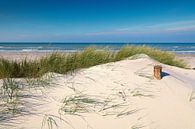 Baltic Sea - Dune in summer wind by Reiner Würz / RWFotoArt thumbnail
