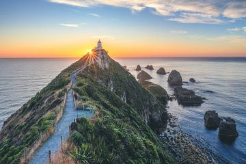 Neuseeland Nugget Point Leuchtturm von Jean Claude Castor