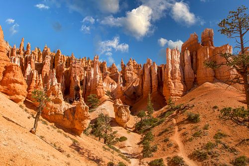 Bryce Canyon National Park, Utah USA