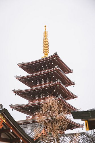Asakusa Tempel: Een Pilaar van Spirituele Rust