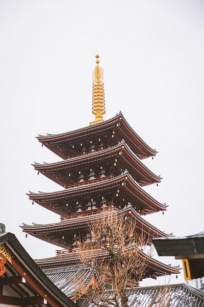 Asakusa Temple: A Pillar of Spiritual Tranquillity by Ken Tempelers