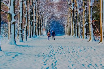 Painterly  Beauty of the  Winter van PhotoManiX Digital Photography