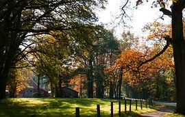 Un environnement rural en Allemagne.