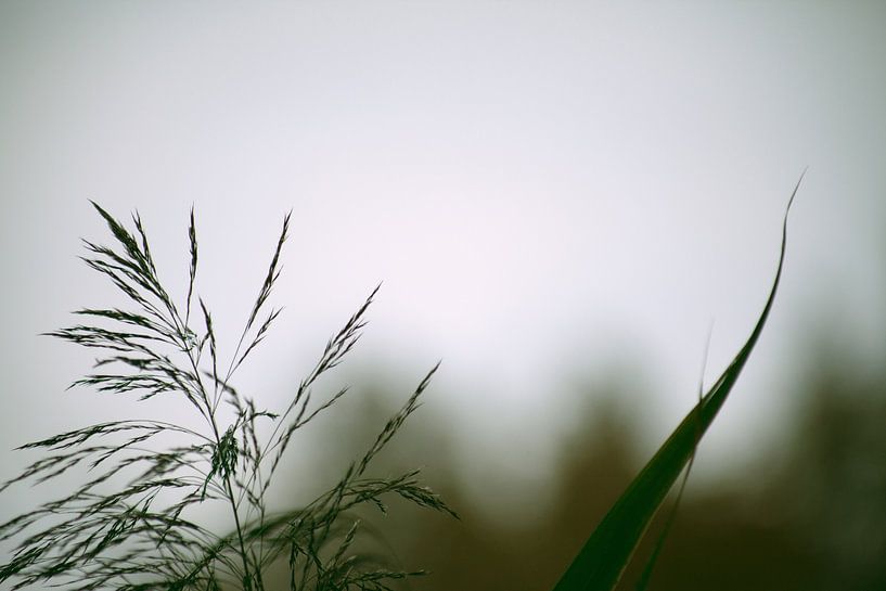 Solitude by Insolitus Fotografie