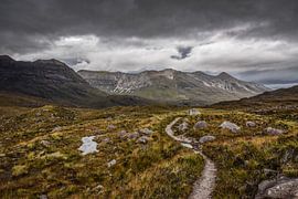 Kinlochewe, Schotland, Verenigd Koninkrijk - I van Jarne Buttiens